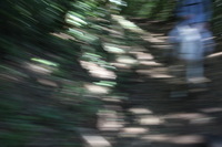Canon EOS 5D Mark II, 2011:12:27 14:11:02 -- 1/30 sec, f/4.0.  No Flash, Compulsory.5616x3744 Off.