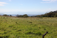 Canon EOS 5D Mark II, 2011:12:27 14:12:34 -- 1/200 sec, f/9.0.  No Flash, Compulsory.5616x3744 Off.
