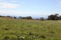 Canon EOS 5D Mark II, 2011:12:27 14:12:45 -- 1/200 sec, f/9.0.  No Flash, Compulsory.5616x3744 Off.