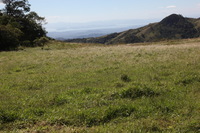 Canon EOS 5D Mark II, 2011:12:27 14:13:30 -- 1/250 sec, f/10.0.  No Flash, Compulsory.5616x3744 Off.