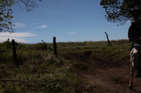 Canon EOS 5D Mark II, 2011:12:27 14:16:27 -- 1/500 sec, f/11.0.  No Flash, Compulsory.5616x3744 Off.