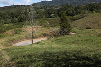 Canon EOS 5D Mark II, 2011:12:27 14:16:38 -- 1/250 sec, f/9.0.  No Flash, Compulsory.5616x3744 Off.