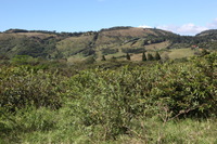 Canon EOS 5D Mark II, 2011:12:27 14:18:04 -- 1/200 sec, f/8.0.  No Flash, Compulsory.5616x3744 Off.