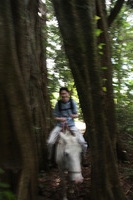 Canon EOS 5D Mark II, 2011:12:27 14:44:20 -- 1/20 sec, f/4.0.  No Flash, Compulsory.5616x3744 Off.