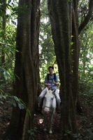 Canon EOS 5D Mark II, 2011:12:27 14:44:22 -- 1/25 sec, f/4.0.  No Flash, Compulsory.5616x3744 Off.