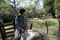 Canon EOS 5D Mark II, 2011:12:27 14:58:40 -- 1/80 sec, f/5.6.  No Flash, Compulsory.5616x3744 Off.
