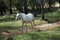 Canon EOS 5D Mark II, 2011:12:27 14:58:45 -- 1/160 sec, f/5.0.  No Flash, Compulsory.5616x3744 Off.