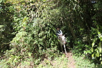 Canon EOS 5D Mark II, 2011:12:27 15:09:26 -- 1/80 sec, f/6.3.  No Flash, Compulsory.5616x3744 Off.
