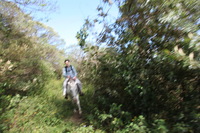 Canon EOS 5D Mark II, 2011:12:27 15:23:19 -- 1/80 sec, f/5.6.  No Flash, Compulsory.5616x3744 Off.