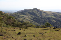 Canon EOS 5D Mark II, 2011:12:27 15:27:42 -- 1/200 sec, f/7.1.  No Flash, Compulsory.5616x3744 Off.