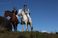 Canon EOS 5D Mark II, 2011:12:27 15:29:16 -- 1/400 sec, f/9.0.  No Flash, Compulsory.5616x3744 Off.