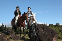 Canon EOS 5D Mark II, 2011:12:27 15:29:25 -- 1/250 sec, f/8.0.  No Flash, Compulsory.5616x3744 Off.