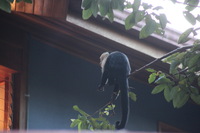 Canon EOS 5D Mark II, 2011:12:28 07:52:42 -- 1/125 sec, f/5.6.  No Flash, Compulsory.5616x3744 Off.