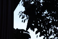 Canon EOS 5D Mark II, 2011:12:28 07:53:52 -- 1/60 sec, f/10.0.  No Flash, Compulsory.5616x3744 Off.