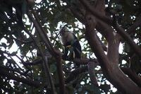 Canon EOS 5D Mark II, 2011:12:28 07:54:57 -- 1/60 sec, f/5.6.  No Flash, Compulsory.5616x3744 Off.
