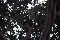 Canon EOS 5D Mark II, 2011:12:28 07:56:07 -- 1/60 sec, f/5.6.  No Flash, Compulsory.5616x3744 Off.