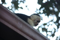 Canon EOS 5D Mark II, 2011:12:28 07:58:40 -- 1/60 sec, f/5.6.  No Flash, Compulsory.5616x3744 Off.