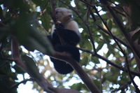 Canon EOS 5D Mark II, 2011:12:28 07:59:59 -- 1/60 sec, f/5.6.  No Flash, Compulsory.5616x3744 Off.