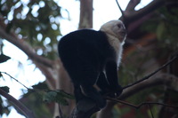 Canon EOS 5D Mark II, 2011:12:28 08:00:05 -- 1/60 sec, f/5.6.  No Flash, Compulsory.5616x3744 Off.