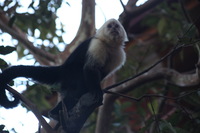 Canon EOS 5D Mark II, 2011:12:28 08:00:11 -- 1/60 sec, f/5.6.  No Flash, Compulsory.5616x3744 Off.