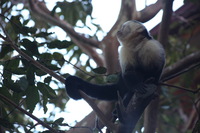 Canon EOS 5D Mark II, 2011:12:28 08:00:13 -- 1/60 sec, f/5.6.  No Flash, Compulsory.5616x3744 Off.