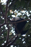 Canon EOS 5D Mark II, 2011:12:28 08:02:28 -- 1/60 sec, f/5.6.  No Flash, Compulsory.5616x3744 Off.