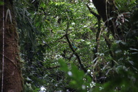 Canon EOS 5D Mark II, 2011:12:28 10:41:59 -- 1/60 sec, f/7.1.  No Flash, Compulsory.5616x3744 Off.