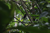 Canon EOS 5D Mark II, 2011:12:28 11:04:15 -- 1/60 sec, f/16.0.  No Flash, Compulsory.5616x3744 Off.