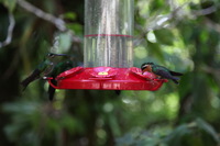 Canon EOS 5D Mark II, 2011:12:28 11:34:17 -- 1/125 sec, f/4.0.  No Flash, Compulsory.5616x3744 Off.