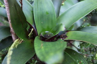 Canon EOS 5D Mark II, 2011:12:28 11:41:05 -- 1/40 sec, f/4.0.  No Flash, Compulsory.5616x3744 Off.