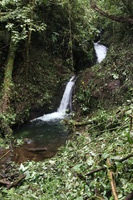Canon EOS 5D Mark II, 2011:12:28 12:30:34 -- 1/40 sec, f/4.0.  No Flash, Compulsory.5616x3744 Off.