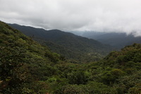 Canon EOS 5D Mark II, 2011:12:28 13:24:46 -- 1/160 sec, f/8.0.  No Flash, Compulsory.5616x3744 Off.
