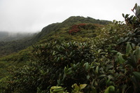 Canon EOS 5D Mark II, 2011:12:28 13:36:07 -- 1/100 sec, f/7.1.  No Flash, Compulsory.5616x3744 Off.
