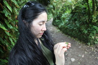 Canon EOS 5D Mark II, 2011:12:28 13:44:10 -- 1/30 sec, f/4.0.  No Flash, Compulsory.5616x3744 Off.