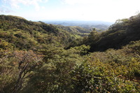 Canon EOS 5D Mark II, 2011:12:28 16:44:17 -- 1/125 sec, f/8.0.  No Flash, Compulsory.5616x3744 Off.