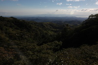 Canon EOS 5D Mark II, 2011:12:28 16:45:30 -- 1/320 sec, f/13.0.  No Flash, Compulsory.5616x3744 Off.