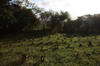 Canon EOS 5D Mark II, 2011:12:28 17:41:50 -- 1/160 sec, f/9.0.  No Flash, Compulsory.5616x3744 Off.