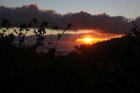Canon EOS 5D Mark II, 2011:12:28 18:27:02 -- 1/200 sec, f/8.0.  No Flash, Compulsory.5616x3744 Off.