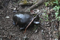 Canon EOS 5D Mark II, 2011:12:28 18:34:10 -- 1/25 sec, f/4.0.  No Flash, Compulsory.5616x3744 Off.