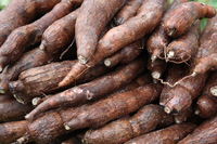 Canon EOS 5D Mark II, 2011:12:29 18:15:41 -- 1/50 sec, f/4.0.  No Flash, Compulsory.5616x3744 Off.