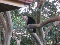 Canon PowerShot A590 IS, 2011:12:29 08:09:48 -- 1/20 sec, f/5.5.  No Flash, Compulsory.3264x2448 Off.