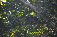 Canon EOS 5D Mark II, 2011:12:30 10:25:48 -- 1/250 sec, f/5.6.  No Flash, Compulsory.5616x3744 Off.