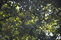 Canon EOS 5D Mark II, 2011:12:30 10:31:44 -- 1/320 sec, f/5.6.  No Flash, Compulsory.5616x3744 Off.