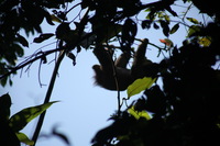 Canon EOS 5D Mark II, 2011:12:30 10:41:01 -- 1/320 sec, f/5.6.  No Flash, Compulsory.5616x3744 Off.