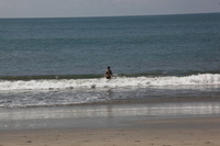 Canon EOS 5D Mark II, 2011:12:30 12:41:11 -- 1/640 sec, f/10.0.  No Flash, Compulsory.5616x3744 Off.