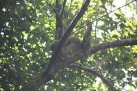 Canon EOS 5D Mark II, 2011:12:30 13:18:41 -- 1/250 sec, f/5.6.  No Flash, Compulsory.5616x3744 Off.