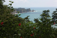 Canon EOS 5D Mark II, 2011:12:30 13:43:46 -- 1/250 sec, f/8.0.  No Flash, Compulsory.5616x3744 Off.