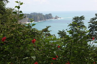 Canon EOS 5D Mark II, 2011:12:30 13:43:47 -- 1/200 sec, f/8.0.  No Flash, Compulsory.5616x3744 Off.