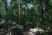 Canon EOS 5D Mark II, 2011:12:30 14:06:57 -- 1/40 sec, f/4.0.  No Flash, Compulsory.5616x3744 Off.