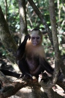 Canon EOS 5D Mark II, 2011:12:30 14:14:37 -- 1/60 sec, f/5.0.  No Flash, Compulsory.5616x3744 Off.